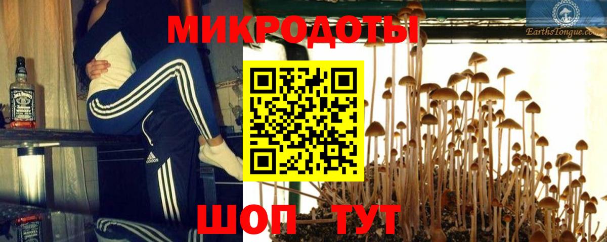 Псилоцибиновые грибы Cubensis  Вход с VPN  Славгород 